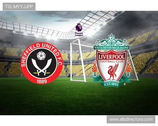 谢菲联球迷数量