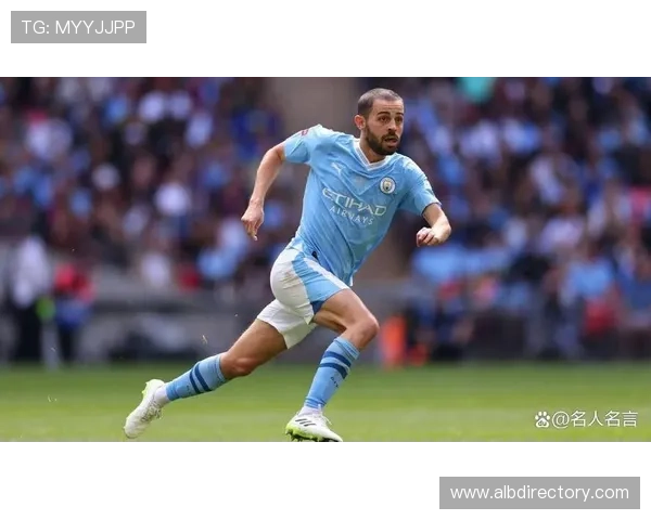 贝尔纳多巅峰状态